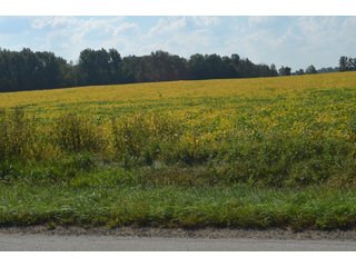 Property photo 14 - REAL ESTATE AUCTION - 604+/- ACRES IN 14 TRACTS IN MERCER CO., OHIO